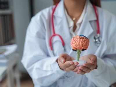 doctor-is-holding-a-brain-model-in-her-hands